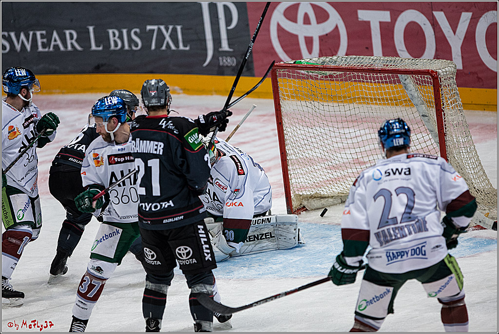 DEL, Koelner Haie - Augsburger Panther, 13.01.2017